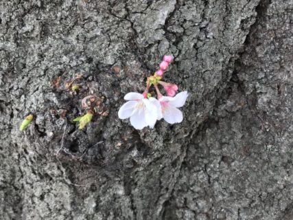 目に見える兆し
