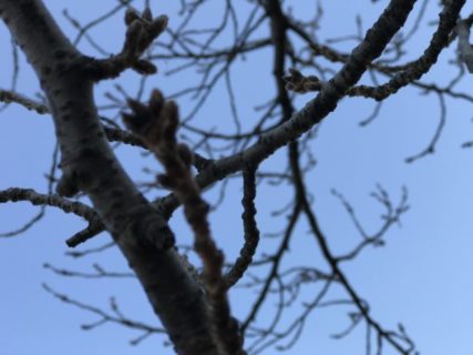 いない人の話をする時は【知章】