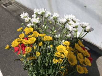 恒例の1日参り