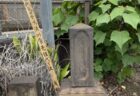 文化の根っこは暦