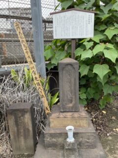 文化の根っこは暦