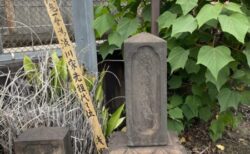 文化の根っこは暦