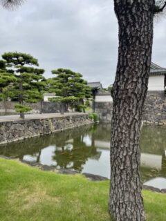 皇居勤労奉仕と能舞台