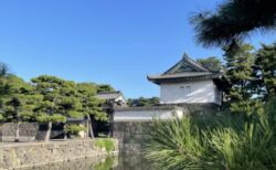 日本のことをより深く知る