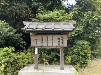 常に起こる問題