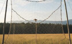 毎日やると出会える事