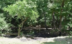 天智天皇に献上された石油