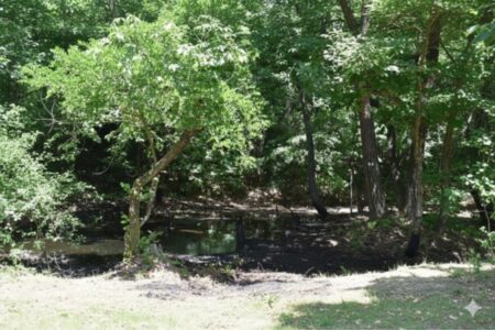 天智天皇に献上された石油