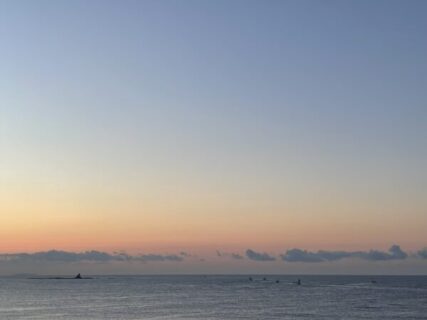 一般的なイメージと自分の感想