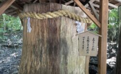 三輪山の山本、道もなし