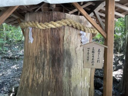 三輪山の山本、道もなし