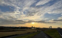 変わらない通説