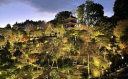 リザーブストック15周年記念