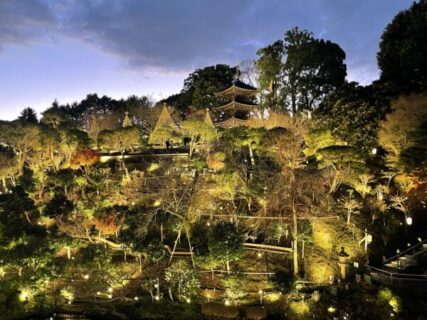 リザーブストック15周年記念