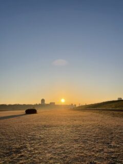 今日の勉強部屋