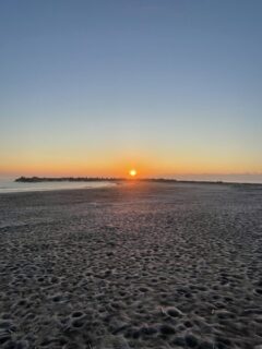 占ってはいけない日と時